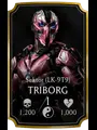 Triborg Sektor (LK-9T9)