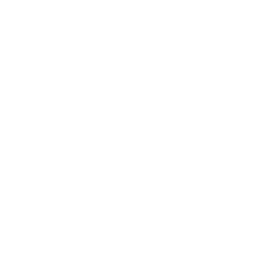 Bleed